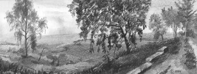 ������������ ��������
(2004; ������, ��������; 12�29)