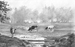 �� ��������
(2003; ������, ��������; 20�30)