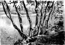 ���������� ������
(2003; ������, ��������; 20�30)