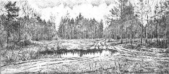 ������ ������ � ��������������
(2000; ������, ����, ����; 20�40)