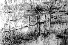 ������
(2001; ������, ��������, ����, ����; 20�30)