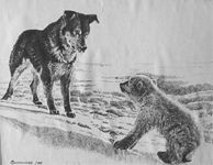 ����������� �������
(2000; ������, ����, ����; 20�30)