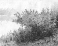 ������� �� ����
(2003; ������, ��������; 20�30)