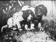 ������
(1959; ������, ��������; 20�30)