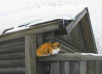 ����� �������� � ��������� ����
(2013; �����, �����; 50x60)